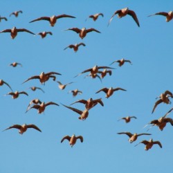 AdriaanPrinsloo 4488