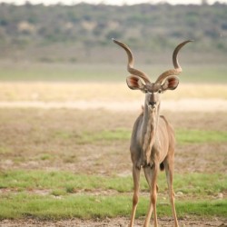 AdriaanPrinsloo 6071 2