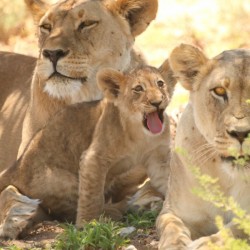 AdriaanPrinsloo 6659