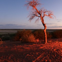 AdriaanPrinsloo 7215