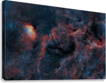 Tulip Nebula  Canvas Print