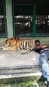 7E82CBFF E94D 456C BCB0 62D922A44FCC