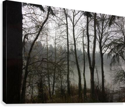 Willamette River View  Canvas Print