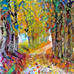 Canopy of Color 