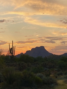 Arizona Sunset