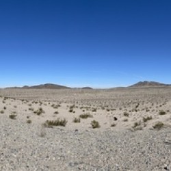 Mojave Desert