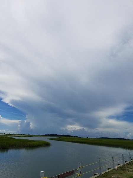 20200726 114053 by Nancy L Guinn