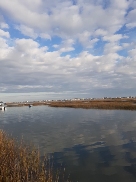 The Inlet by Nancy L Guinn