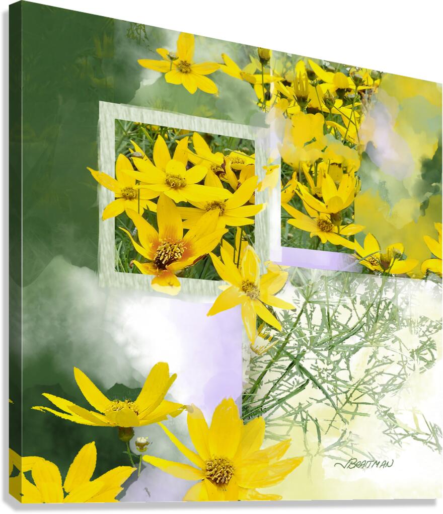 Threadleaf Coreopsis02 Canvas Print