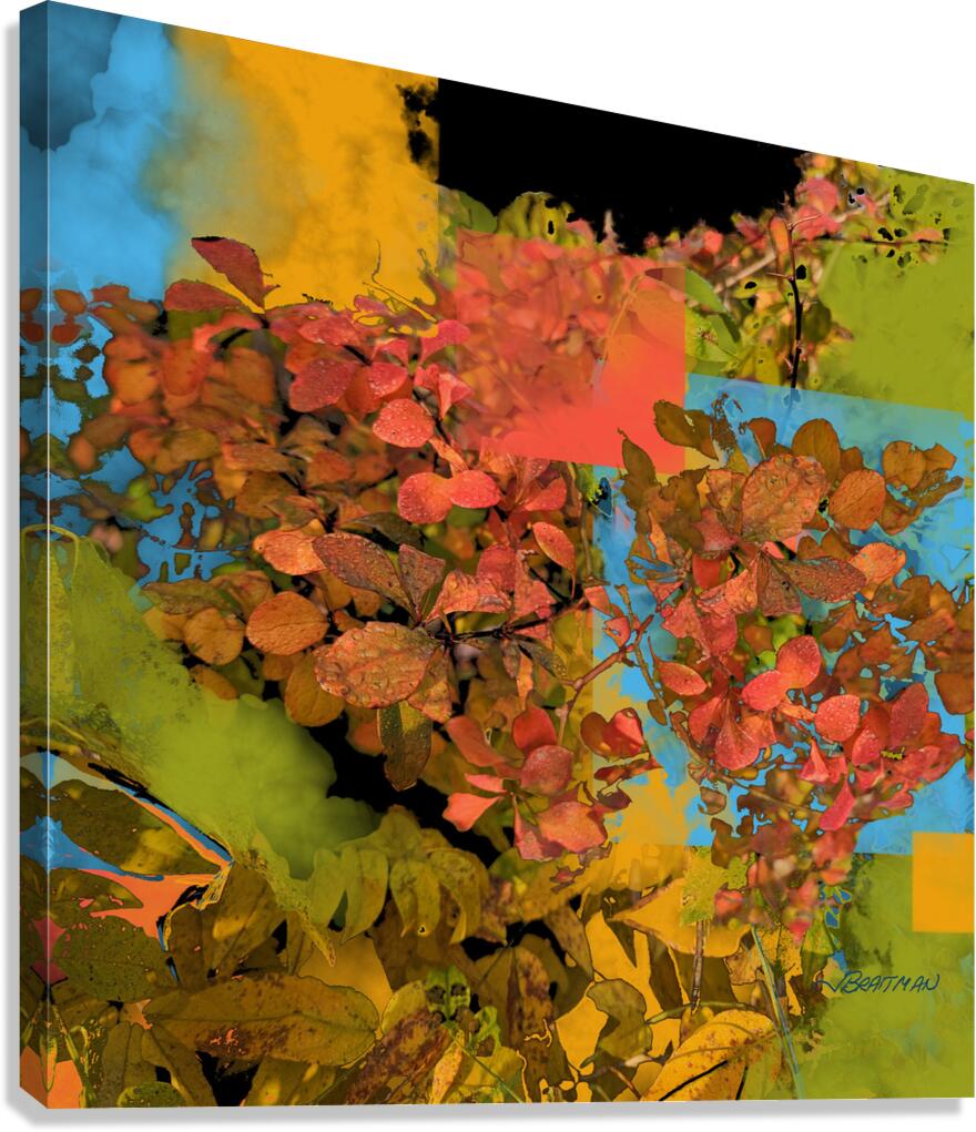 Burning Bush Canvas Print
