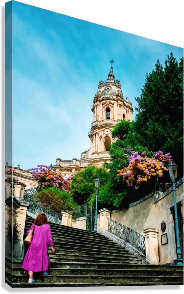Ascent Canvas Print