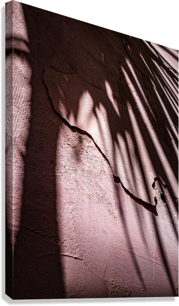 Where shadows bloom Canvas Print