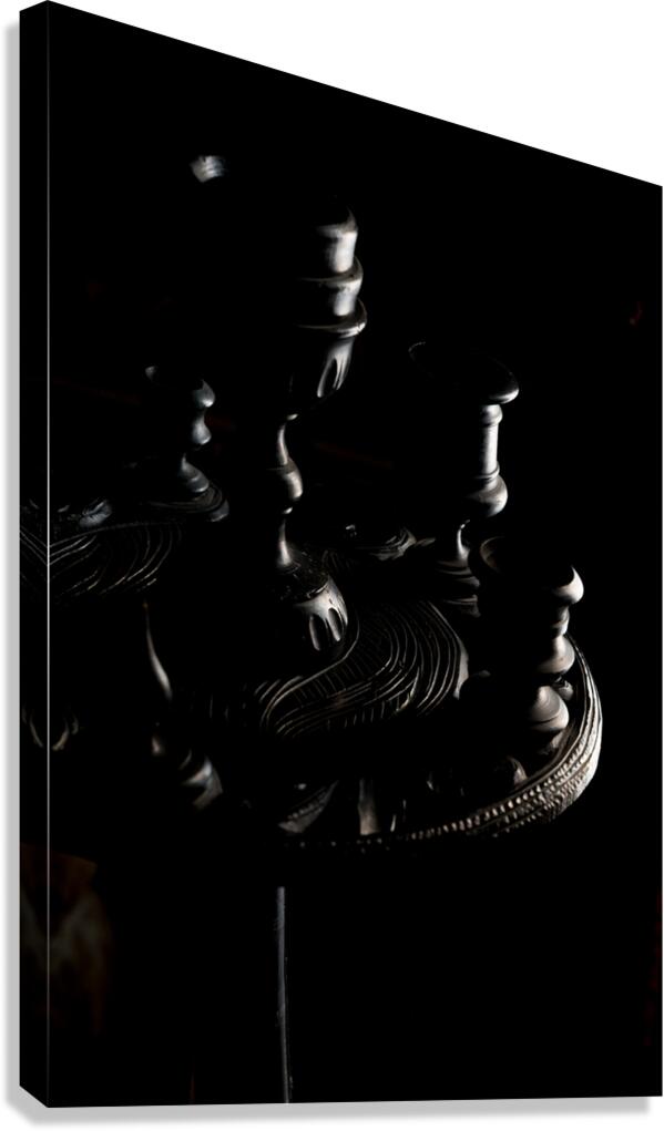 Shadow Study Canvas Print