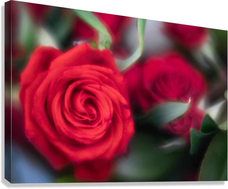 Ember Canvas Print