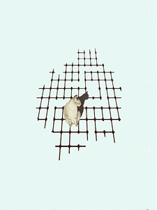 Picsart 24 03 22 22 44 41 612