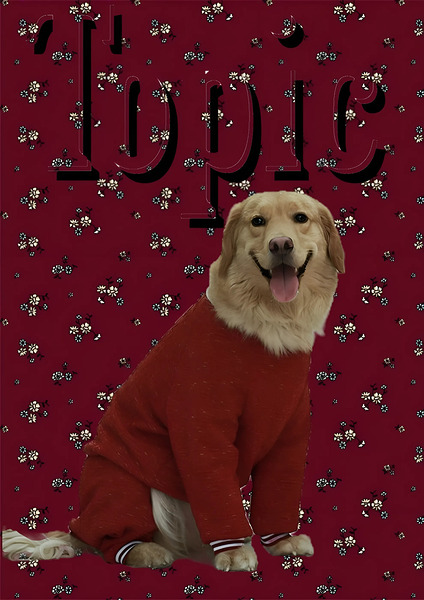 snapedit 1711033213101 Print