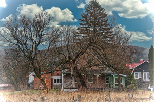 Country Home