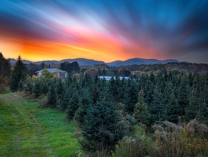 Evening Glow
