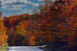 Country Road in the Quebec Laurentians