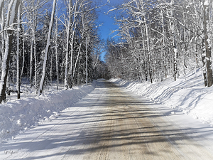 Into the Woods   Whites Road
