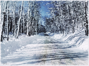 Into the Woods