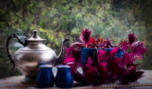 The Teapot is a Peacock 2