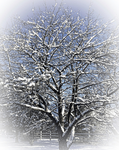 Winter 2019 nw