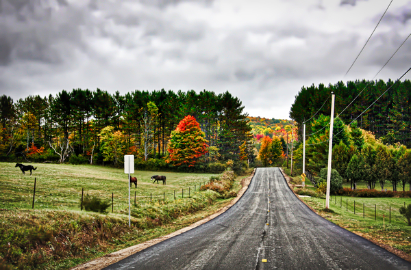 Barklake Road Print