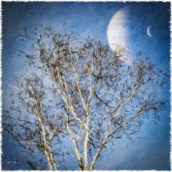 Birch Vs Planet Paint Print