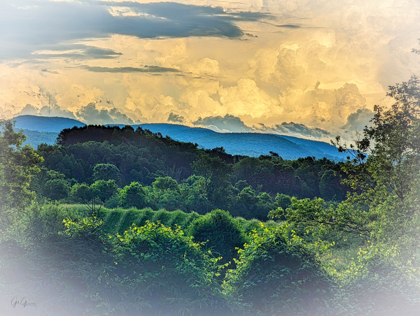 Blueberry Mountain Print