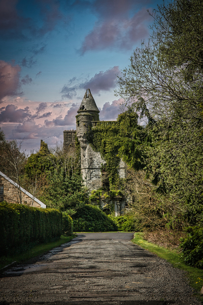 Buchanan Castle Print