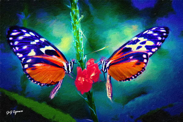 Butterfly Paint Print