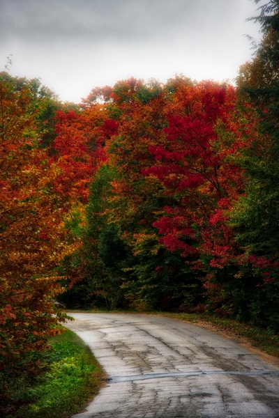 Fall Magic Print