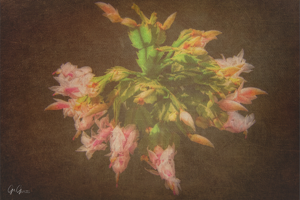 Fine Art overlay Print