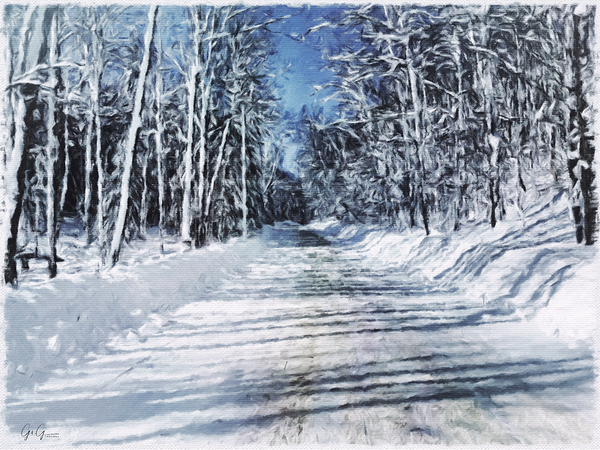 Into the Woods Print