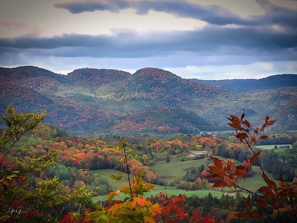 Laurentian View Print
