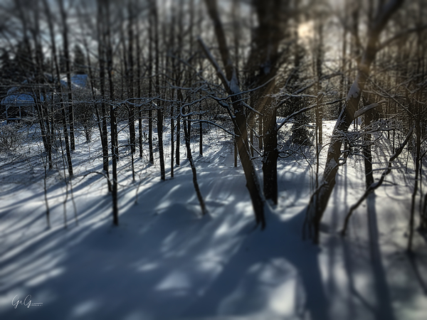 Saint-Anne-des-Lacs Print