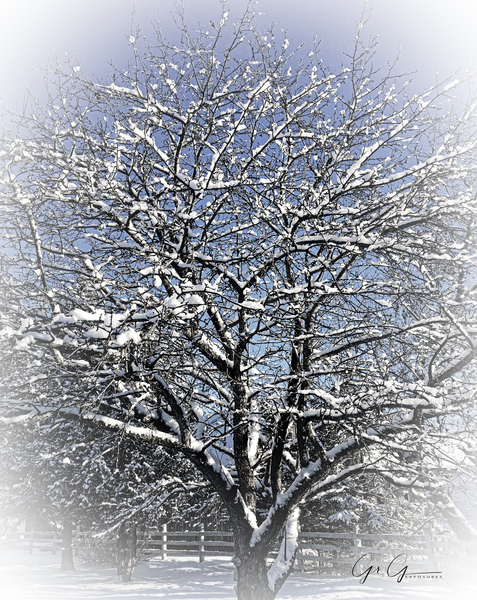 Winter 2019 Print