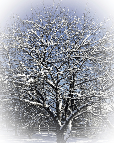 Winter 2019 nw Print