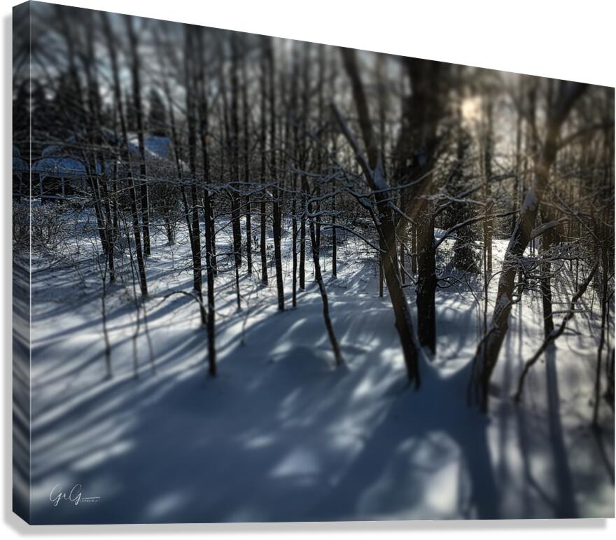 Saint-Anne-des-Lacs Canvas Print