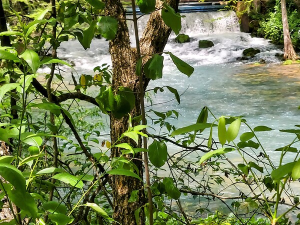 Waterfall in the woods by Missouri Micky