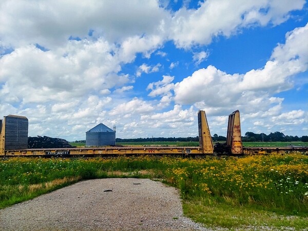 Railcars in the field by Missouri Micky