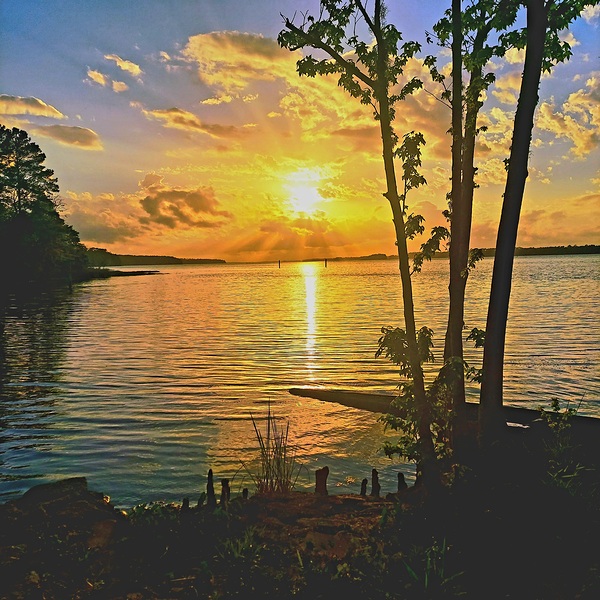 Sunset trees by Missouri Micky