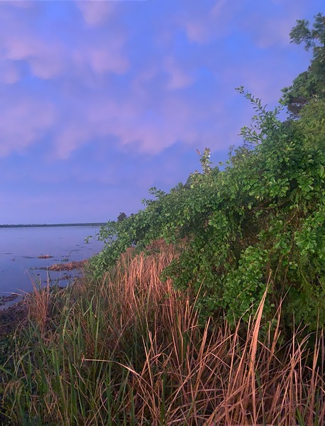 Pretty view by Missouri Micky