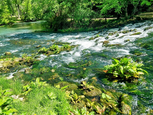 Rapids ahead by Missouri Micky