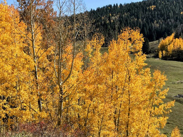 Fall in San Juan Mountains by Missouri Micky