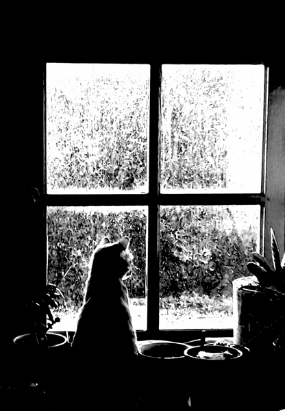 quel temps fait il dehors  Print