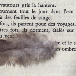 Extrait Colline Jean Giono