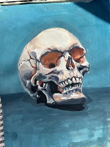 Skull on blue