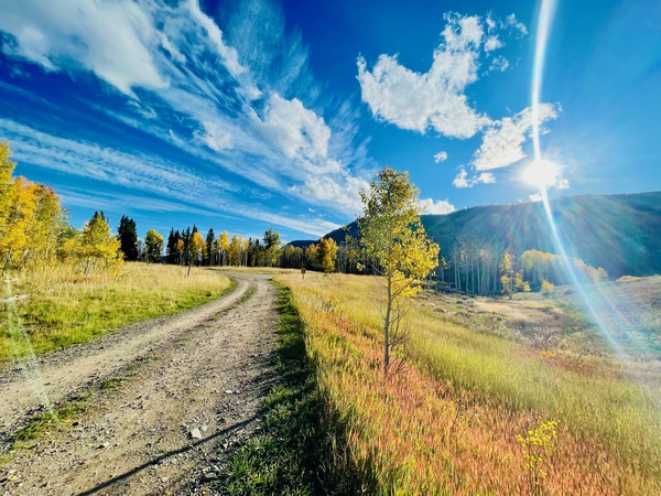 Surreal Sunlight Print